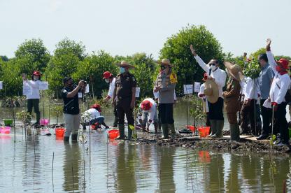 Tanam Mangrove di Langkat Gubernur: Melestarikan Alam Itu Ibadah